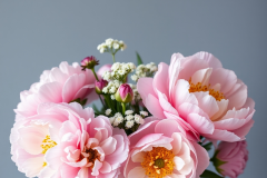bouquets of peonies