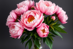 bouquets of peonies 