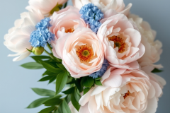 flowers peonies