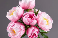 bouquets of peonies 