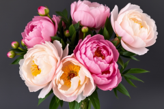 peonie
