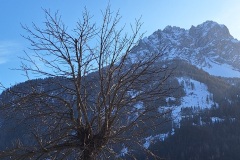 Sesto
