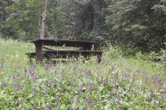 Lago-di-Tovel-10
