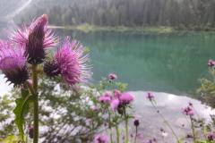 Lago-di-Tovel-4