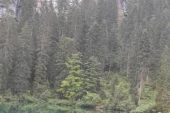 Lago-di-Tovel-7
